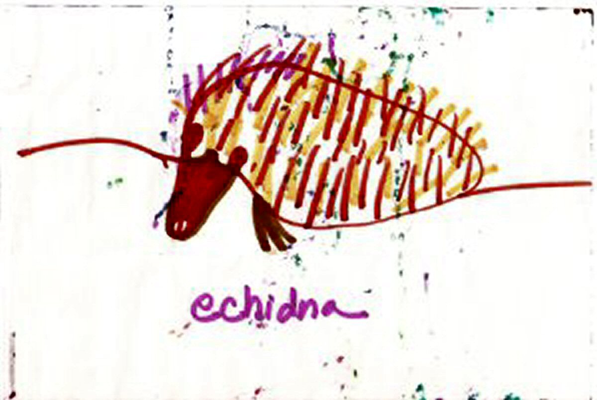 Echidna by KJ Hannah Greenberg