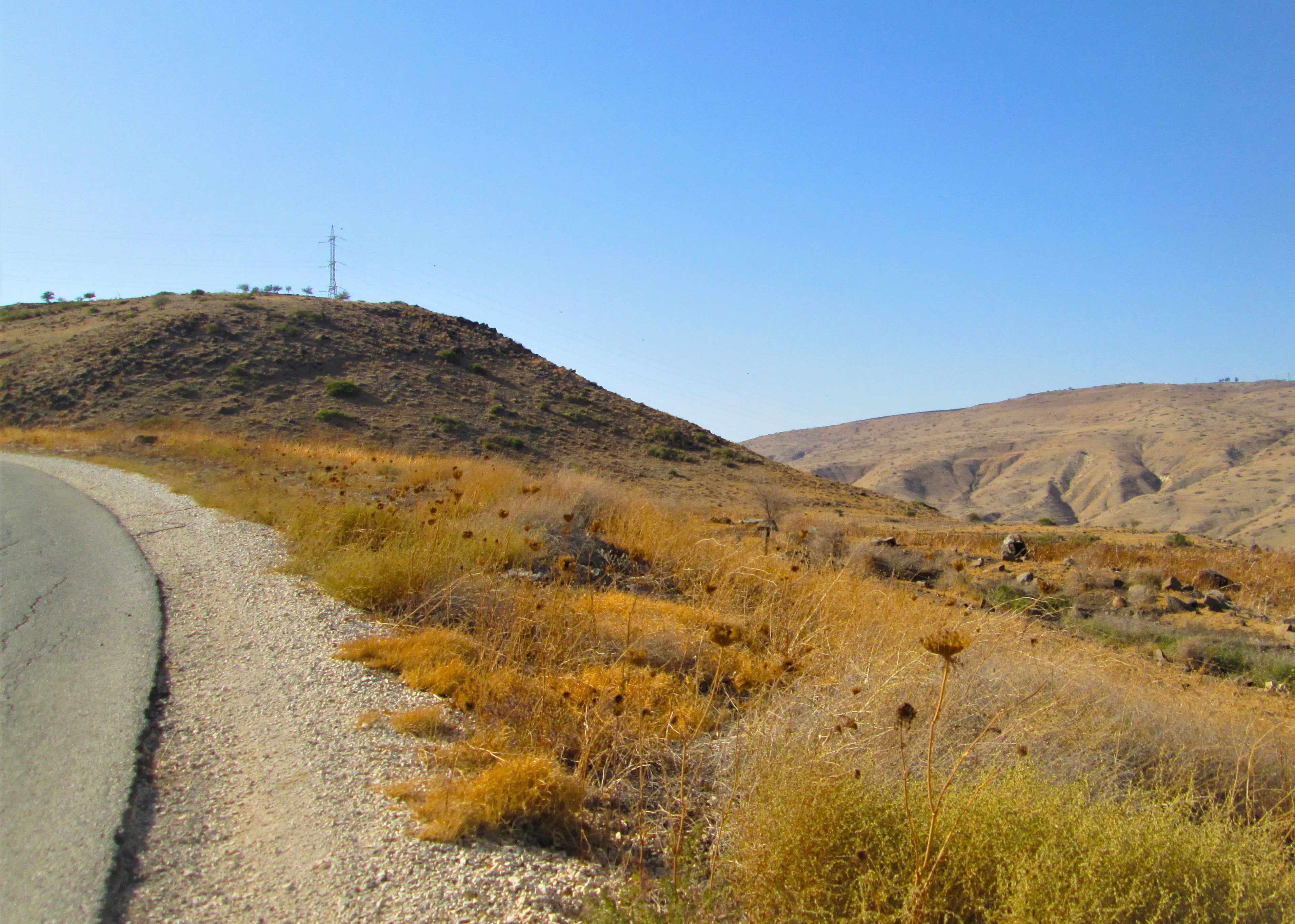Desert Road by KJ Hannah Greenberg