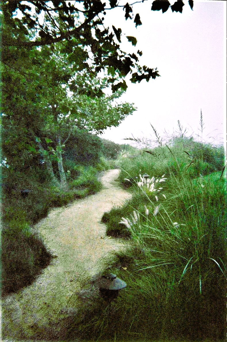Garden Path by KJ Hannah Greenberg