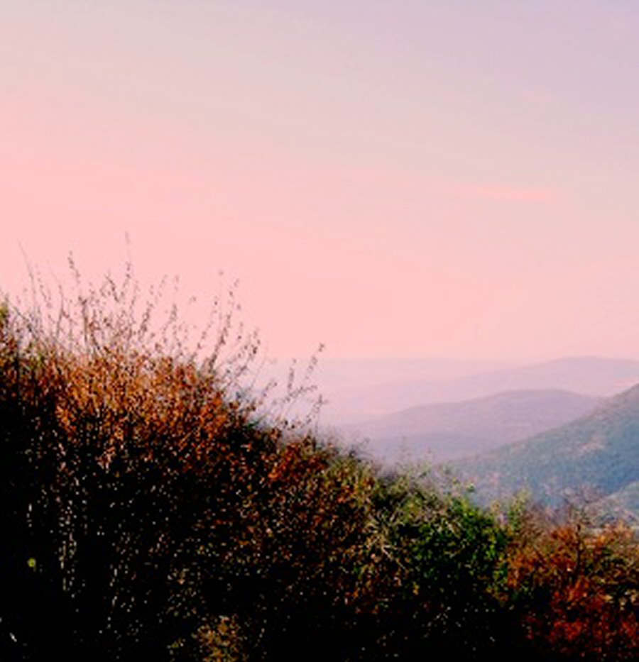 Morning Has Broken by KJ Hannah Greenberg