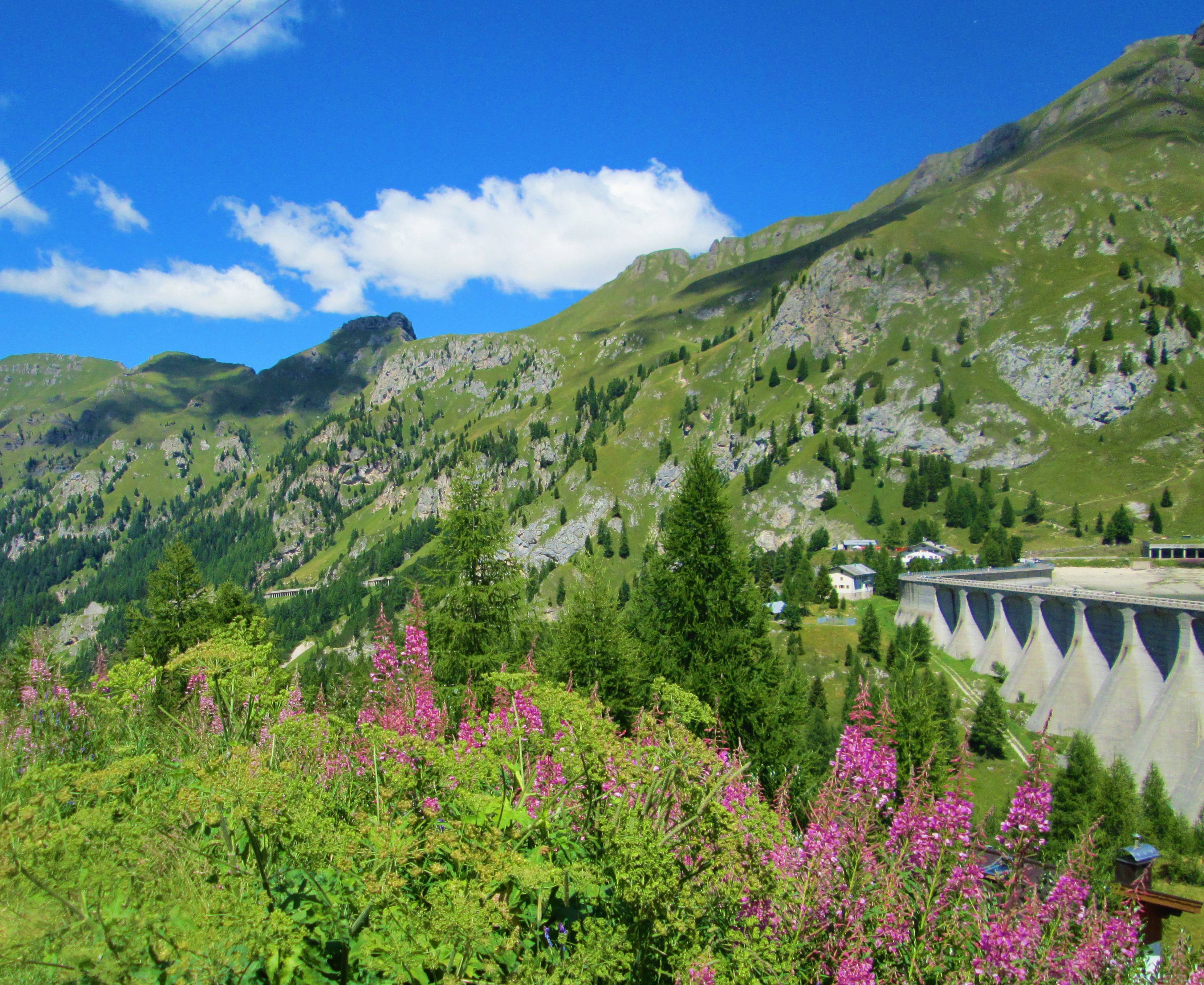 Mountain Beauty by KJ Hannah Greenberg