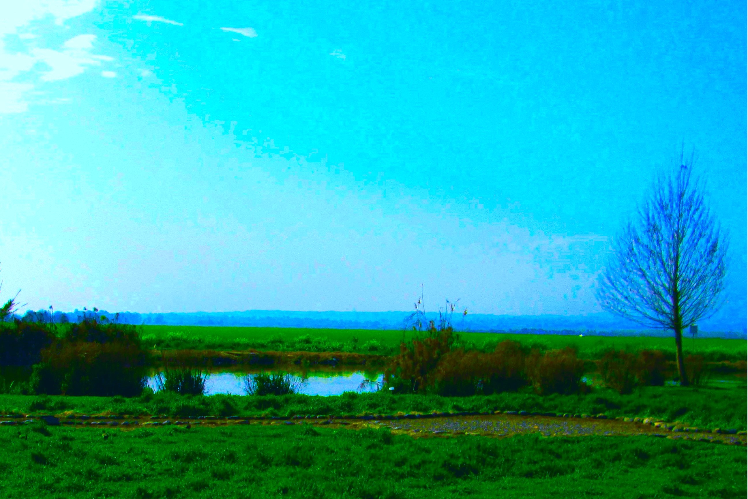 Hinterland 2 by KJ Hannah Greenberg